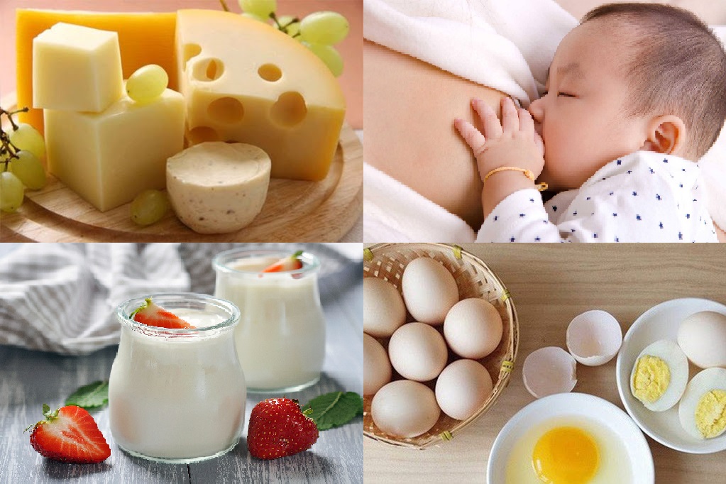 Phô mai, sữa mẹ, sữa chua và trứng giúp trẻ tăng cân hiệu quả, nhanh chóng
